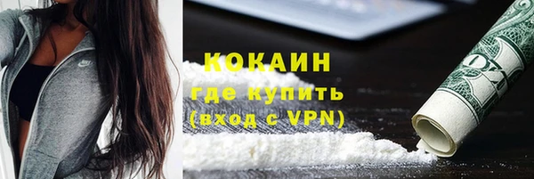 крисы Абаза