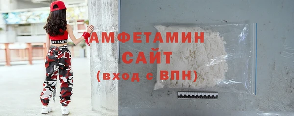 прущие грибы Рославль