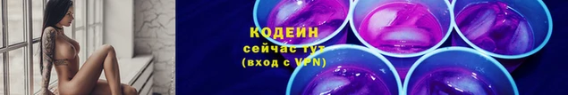 a pvp Ростов