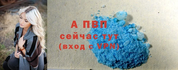 прущие грибы Рославль