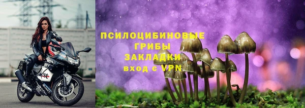 Альфа ПВП Россошь