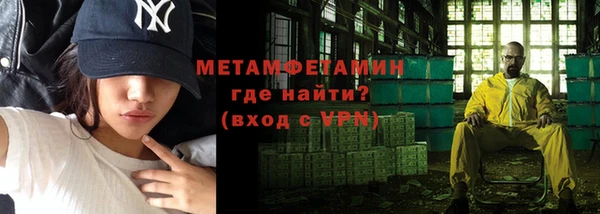 прущие грибы Рославль
